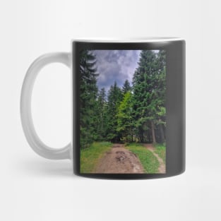 Path Fotest Trees Mug